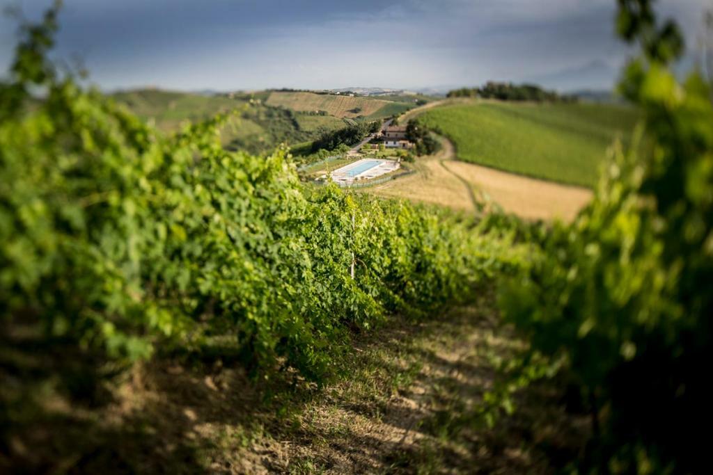 Casali Costadoro Acquaviva Picena Kültér fotó